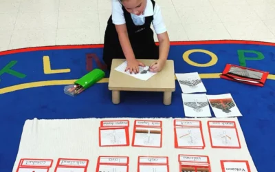 Importance of Kindergarten Year in a Montessori Classroom